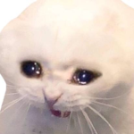 THE OOF GROUP!! ;-;