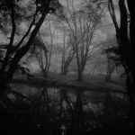 ~.+ SunSxt +.~