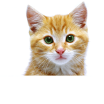 The Special Cats that are Kids
