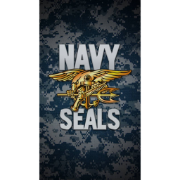 Navy Seals's combat (big map update)