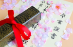 不死蝶