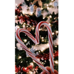 • Christmas Fans •
