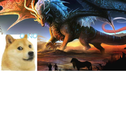 Doges and Dragons (doge wars)