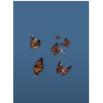 The place where I give my friends robux :D