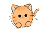#TheKittySquadForever