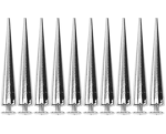 The Spike Family