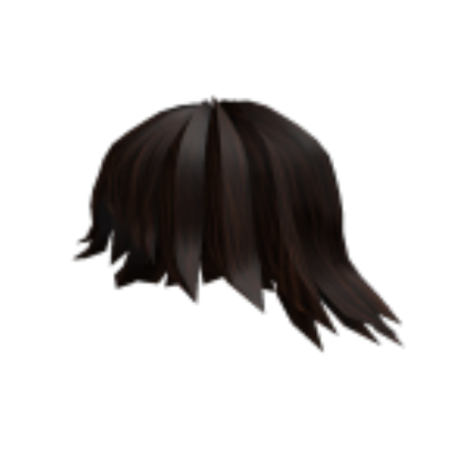 SHAGGY HAIR Roblox decal