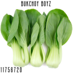 bokchoy boyz