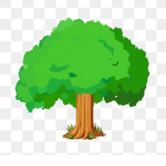 TeamTreesForever