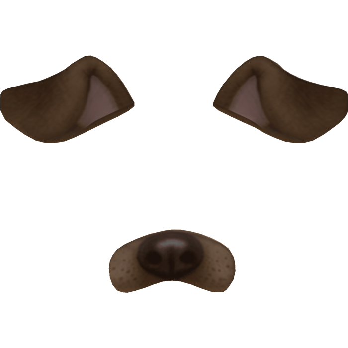 Cute Dog Filter