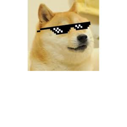 Doge Shrine