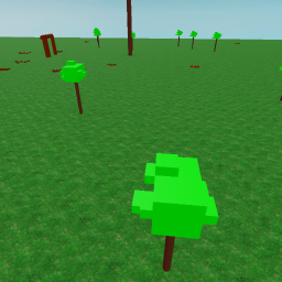 forest