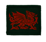 4th Platoon, B Company