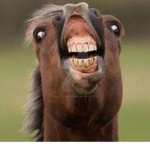 Magical Hooves!