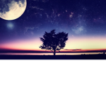 *MoonLight+