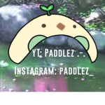 Paddles YT group
