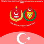 Türk Kuvvetleri Bölgesi
