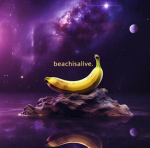 the banana sub club