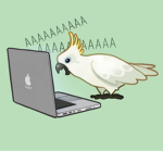 Gamer cockatoo