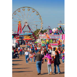 Carnival Hang Out