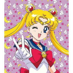 ☾Usagi Tsukino☽ ☾Sailor Moon☽