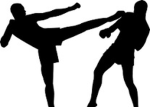 Fight army