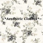 ~*Aesthetic Clothes*~
