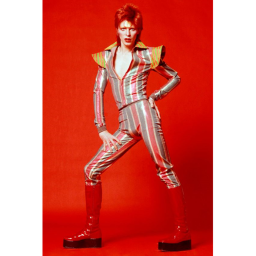 David Bowie icon
