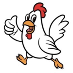 Chicken News!