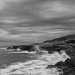 Txrqly.
