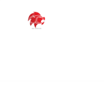 red lions (american football)
