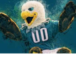 OFFICIAL PHILADELPHIA EAGLES FAN CLUB