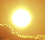 TheSunnyCult