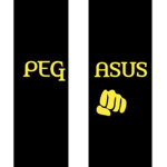 //Pegasus Bed Wars Team//