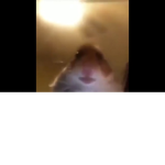 Epik Memes Group