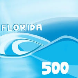 The Florida 500