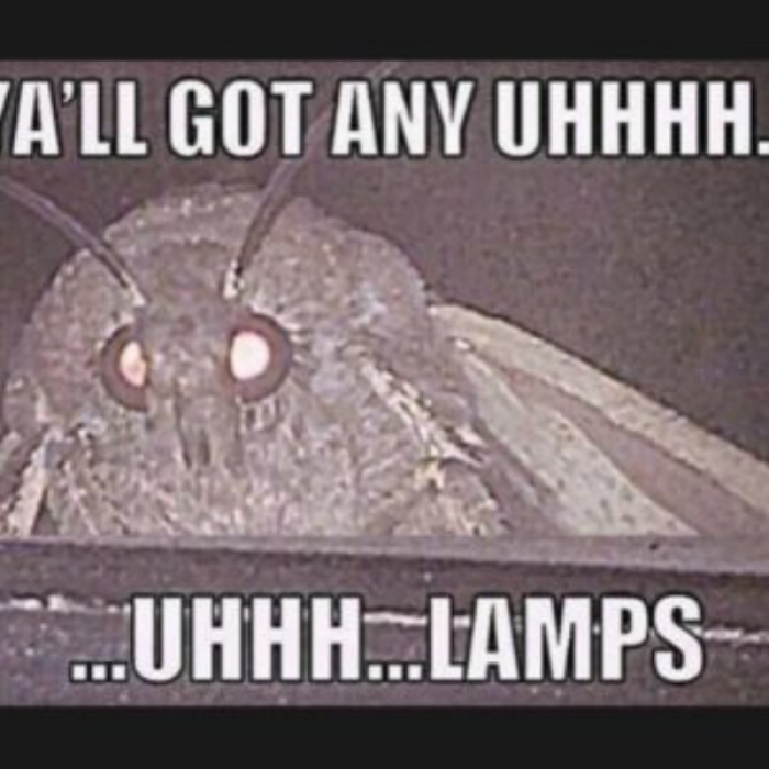 Moth Meme Roblox decal
