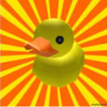 Fellow Ducks United