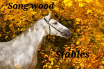 Song Wood Stables