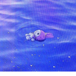 Teddyz$