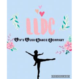 LLDC ROBLOX