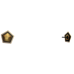 Luxury Stud Earrings