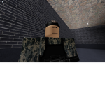 the Danish army border