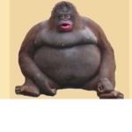 Reject humanlty return to monke