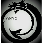 The ONYX Corporation