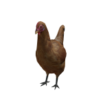 Chicken Suit