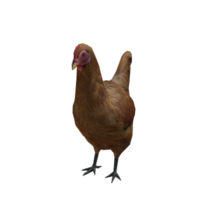 Chicken Suit