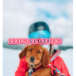 *:･ﾟLeo's Clothes*:･ﾟ