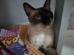 Luna kimberly Barbos Menezes
