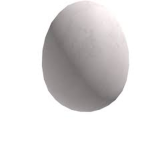 the eggcellent egg
